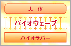 バイオウェーブイメージ図