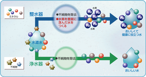 ココが違う！整水器と浄水器